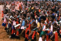 Young children at Reed Dance for the King of Swaziland